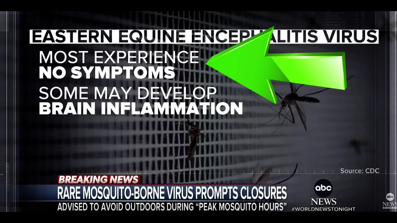 DEADLY MOSQUITO VIRUS WITH NO SYMPTOMS 33 DEATH RATE VOLUNTARY LOCKDOWNS BEING ISSUED