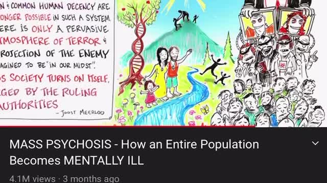 Mass Formation Psychosis