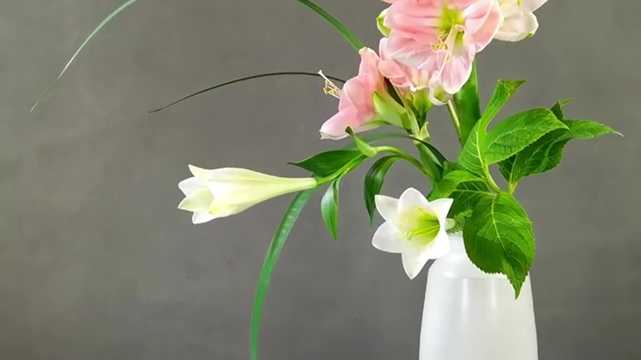 Flower ASMR