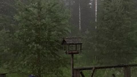 Sitting On The Porch On A Stormy Day Heavy Rain