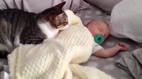 cat guarding a sleeping baby