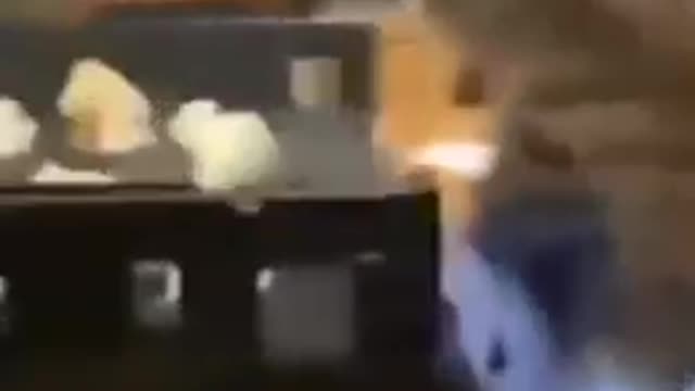 Naughty cat 02