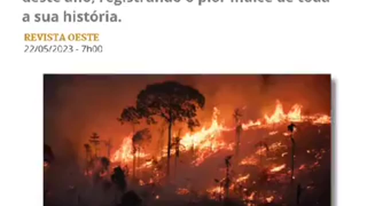 Enquanto a Amazônia vira carvão o ladrão brinca de governo.