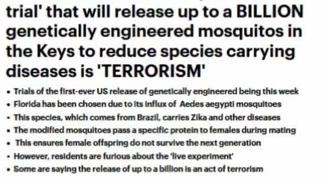 Bill Gates Releases 1 Billion Genetically Modified Mosquitoes In Florida