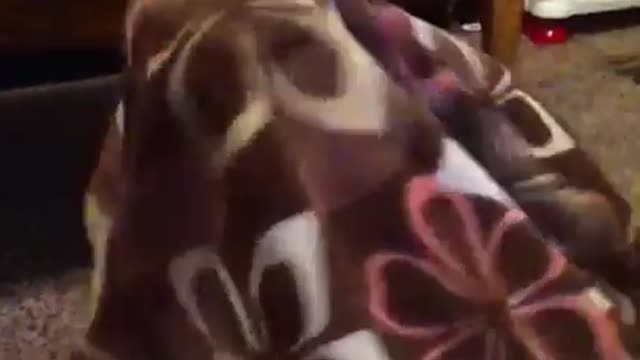 Emma hiding a 3rd time