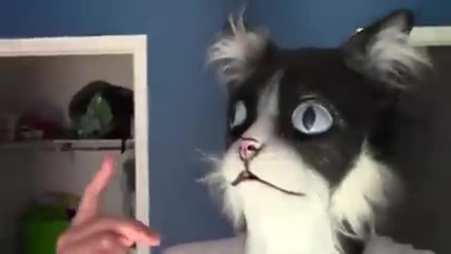 Man in Cat Mask Scares all of his Cats