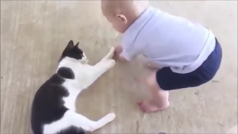 🐱👶 Funny Cats Playing With Babies Compilation🐈 Adorable Babies Playing With Cats