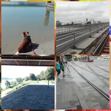 welcome to Vienna city tour Vienna