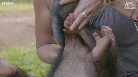 Poppy The Baby Chimp Has A Huge Smile | BBC Earth