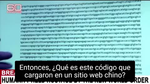 CAEN MUERTOS COMO MOSCAS EN VIVO POR TELEVISIÓN - ES UN GRAN SACRIFICIO DE SANGRE