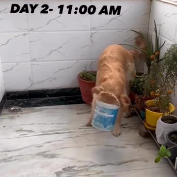 First time Watched full episode of Big Boss