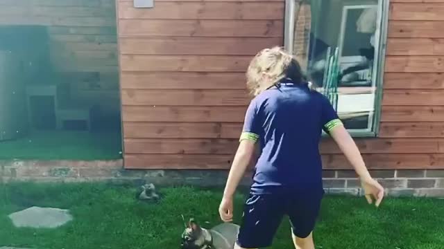 Playing with Derby county next big thing! Funny Dog