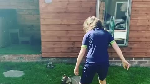 Playing with Derby county next big thing! Funny Dog