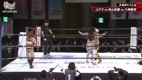 Stardom 14th Goddesses of Stardom Tag League Championship Battle 12-8-2024