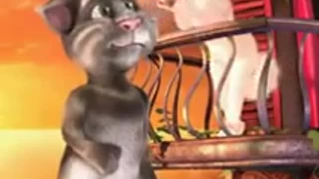 Cat Proposing A Cat, Very Funny Urdu. cat cartoon - cute cat pictures