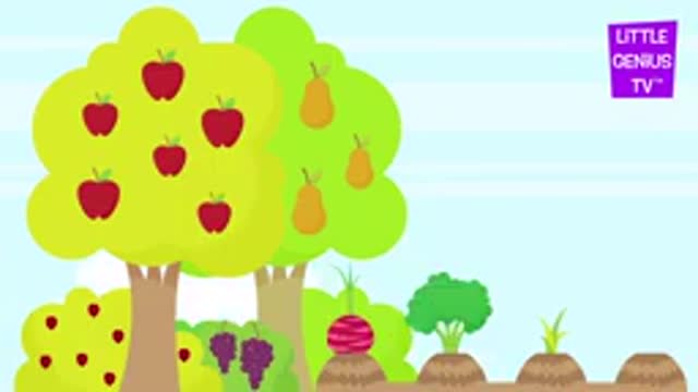 VEGETABLES AND FRUITS/VIDEOS FOR TODDLER'S