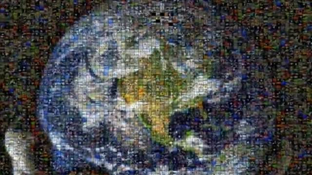 Micro Marvels of the Human Eye