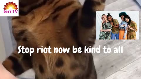 2021 friends message **********Stop riots,be kind to all