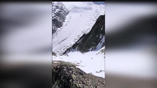 The fastest goat