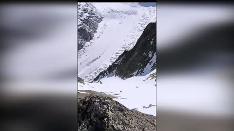 The fastest goat