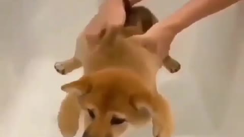 relaxing videos