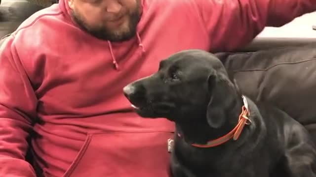 Doggy Drops Drink While Fetching It From the Fridge