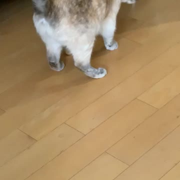 She’s trying to bury a beer cork