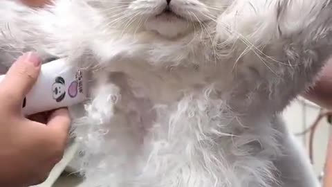🙀🙀🙀