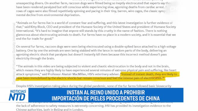 ¿Robots o humanos? Filman extraño comportamiento de sirvientes de líderes chinos. PCCh impacta a USA