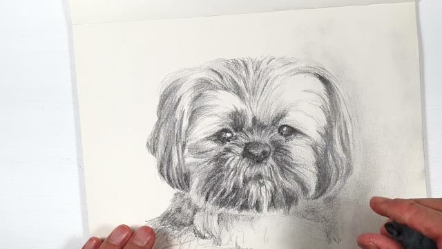 Art || Sketch || A Lovely Puppy (III)