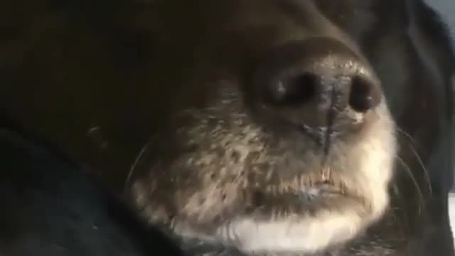 Big eyes!