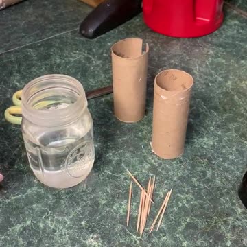 How to solve the toilet paper crisis: Grow your own!