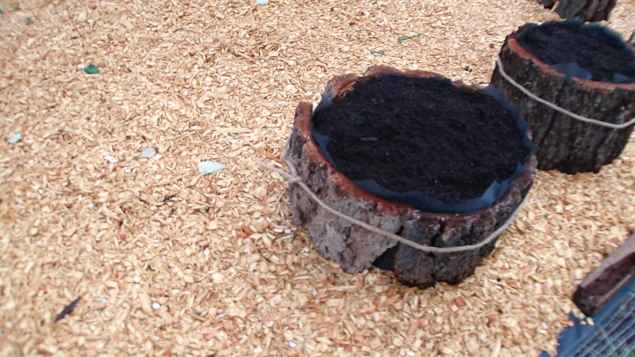 Garden raised beds made from tree bark