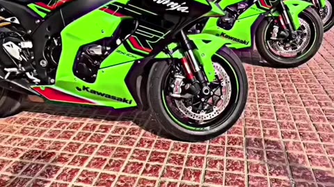 zx10r lover