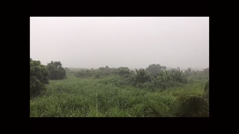 Relaxing Rain sound