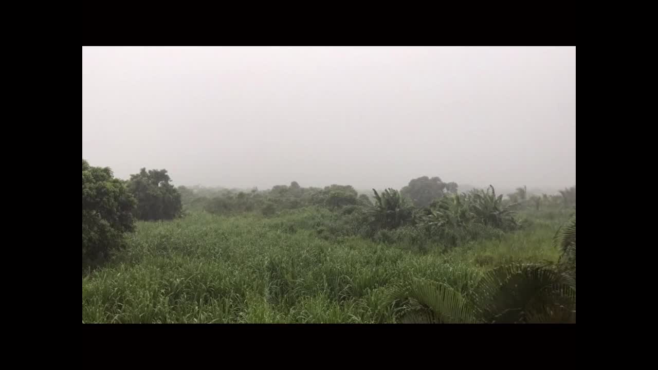 Relaxing Rain sound