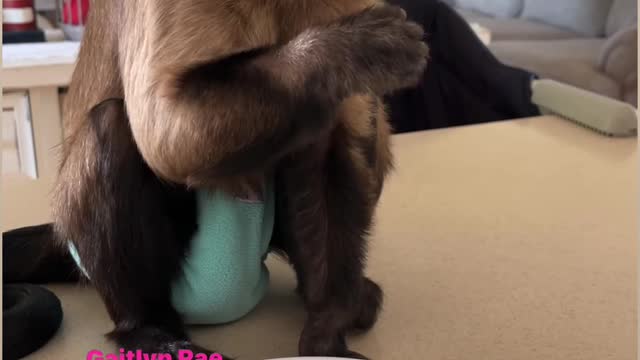 Snack time!