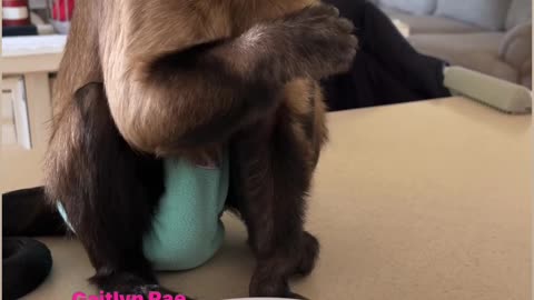Snack time!