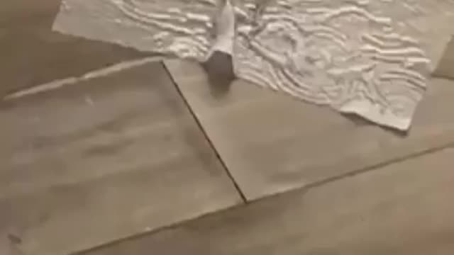 Kid came outta nowhere!