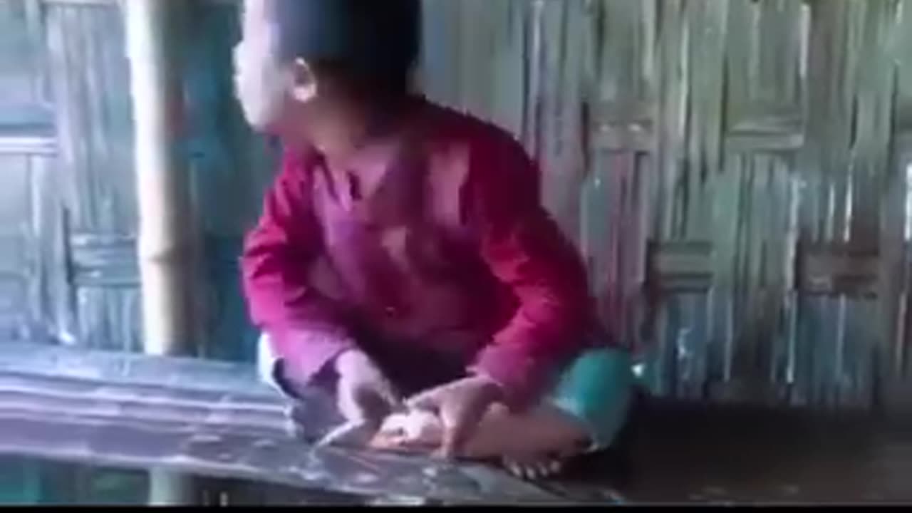 Funny video