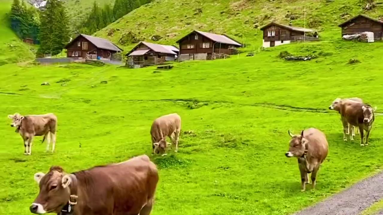 Switzerland 🇨🇠_ Beautiful__