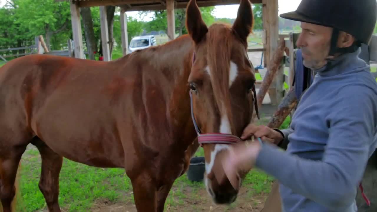 The man comb the mane of a brown horse