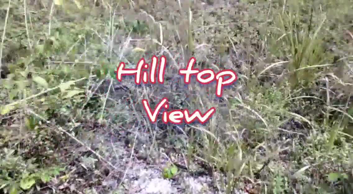 HILL TOP VIEW.