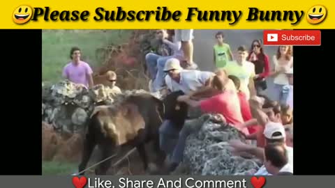 best awesome bullfighting festival funny crazy bull fails