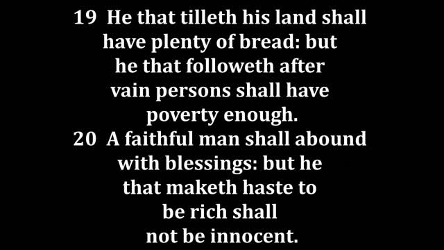 Proverbs 28 King James version