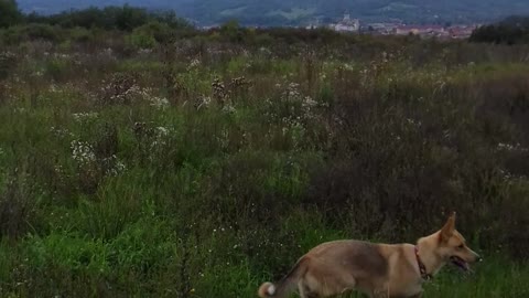Enjoy the freedom