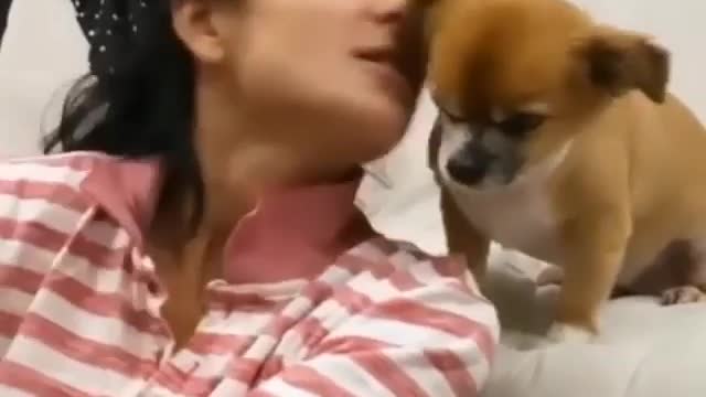 Lovely pup asked mom for a kiss wow