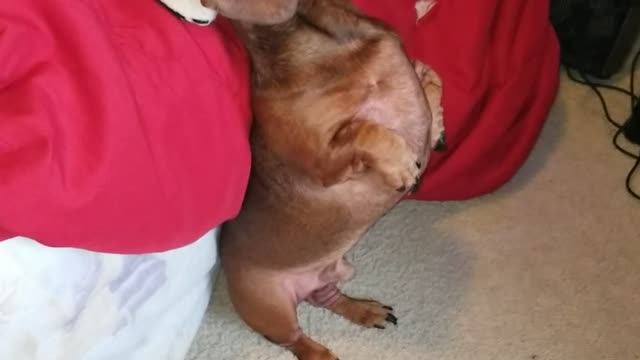 He Is Adorable!