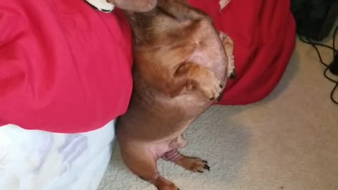 He Is Adorable!