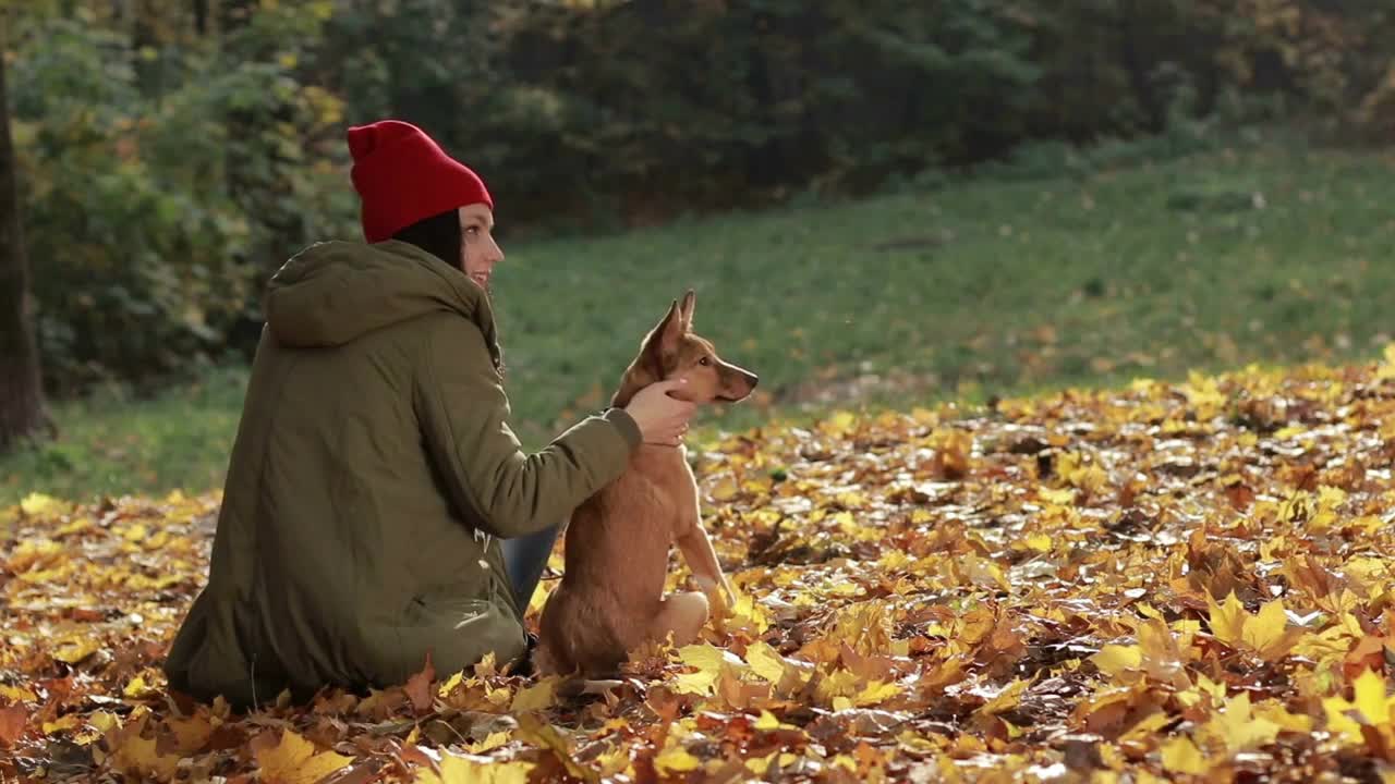 Charming woman and her dog posing in autumn park